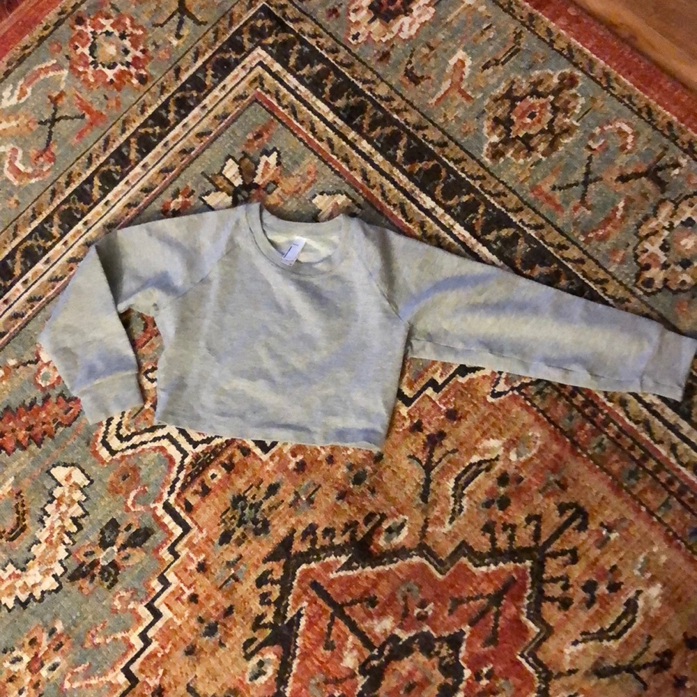 American Apparel cropped stretchy Sweater